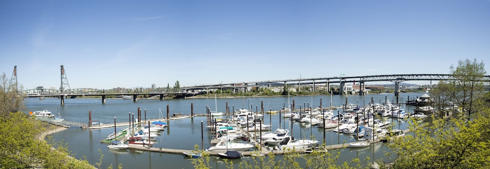 Kimpton Riverplace Hotel by IHG - photo 34