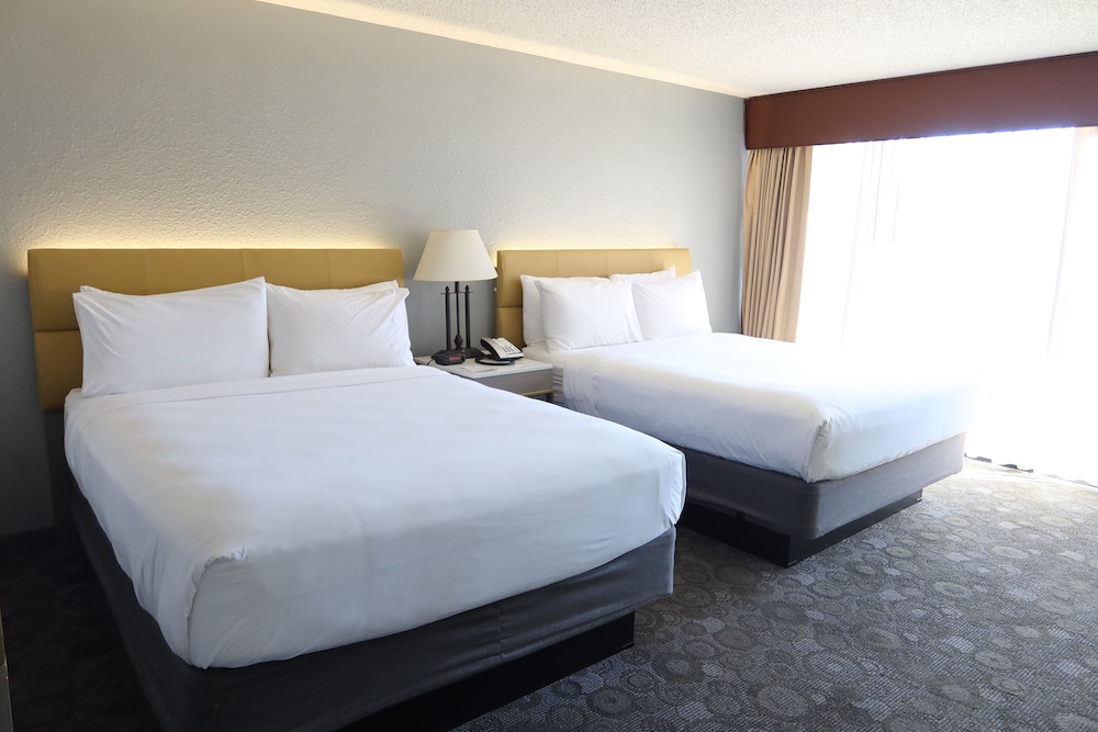GreenTree Hotel Phoenix West - photo 11