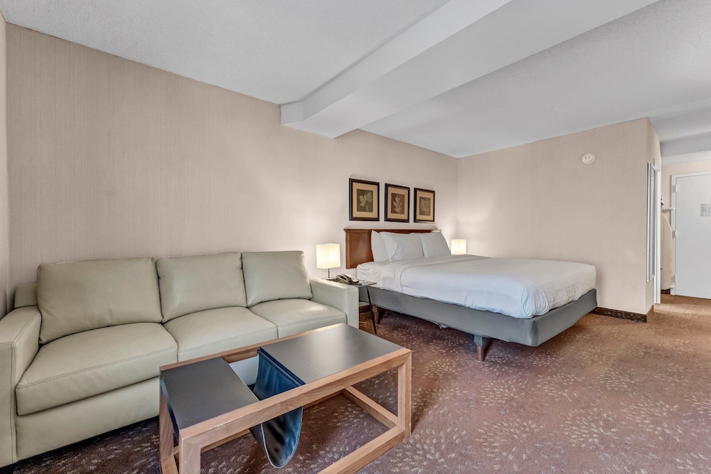 Buffalo Airport Hotel - photo 25