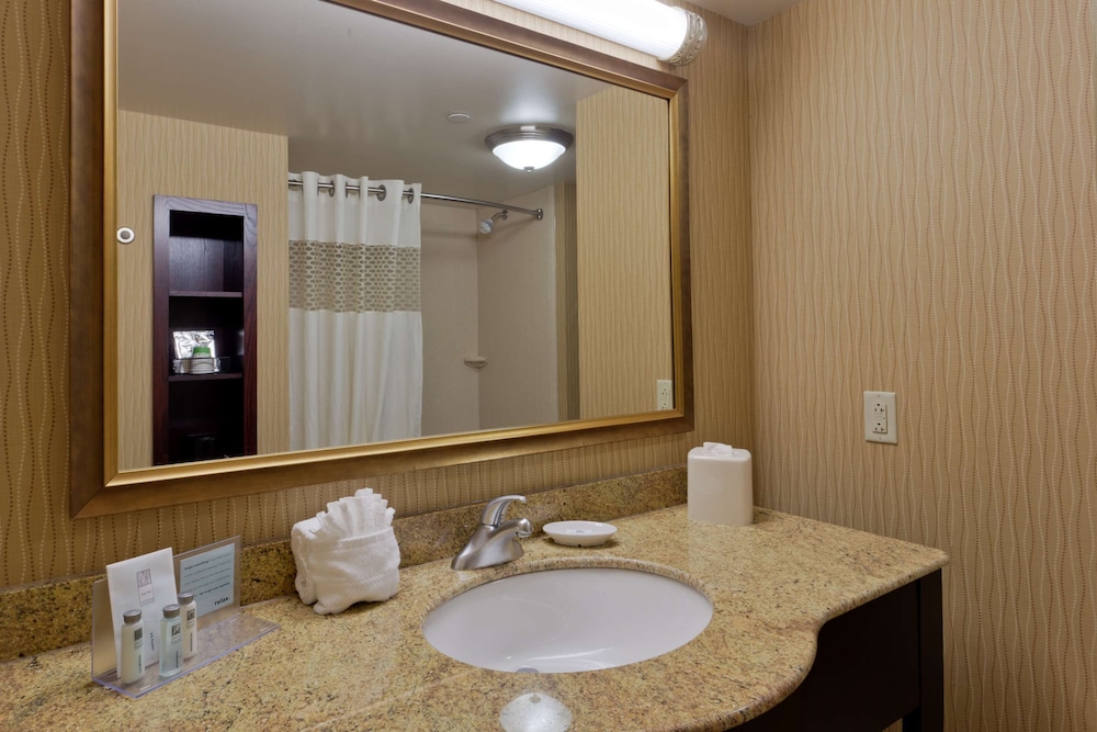 Hampton Inn Rochester Webster - photo 14