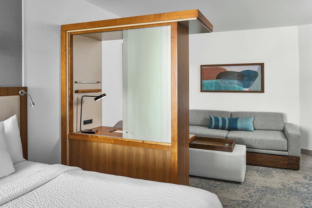 SpringHill Suites Lumberton - photo 6