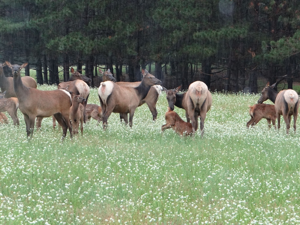 Edenwood Ranch Private SQ MILE - photo 23