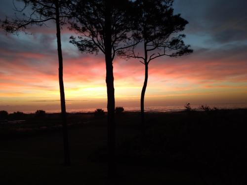 Million Dollar Oceanfront View — 4-Star Luxury Hotel in Hilton Head Island, United States