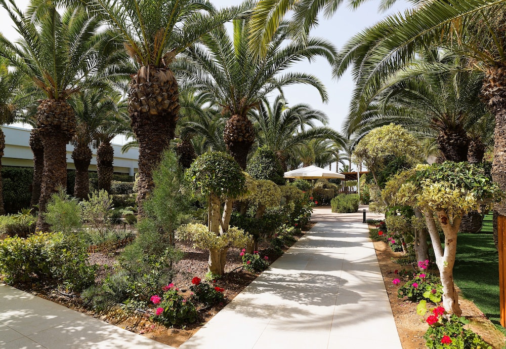 שטחי חוץ / גן