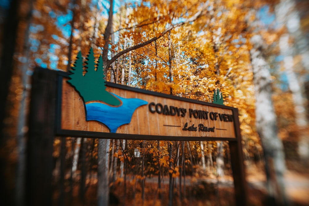 Coadys' Point of View Lake Resort - photo 408