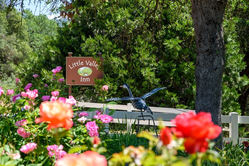 Little Valley Inn - photo 47