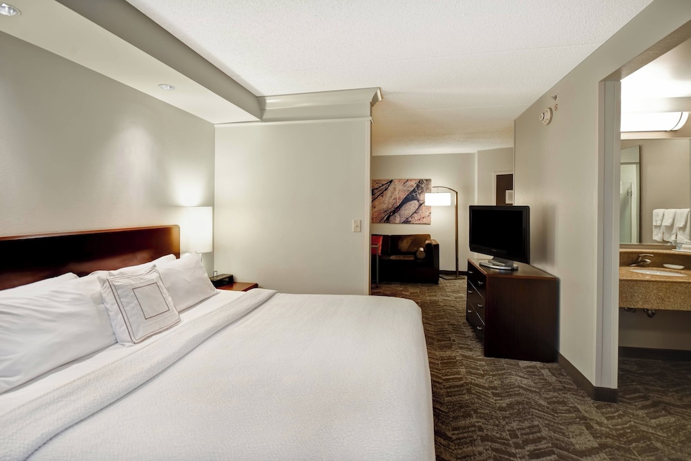 Springhill Suites by Marriott Louisville Airport - photo 12