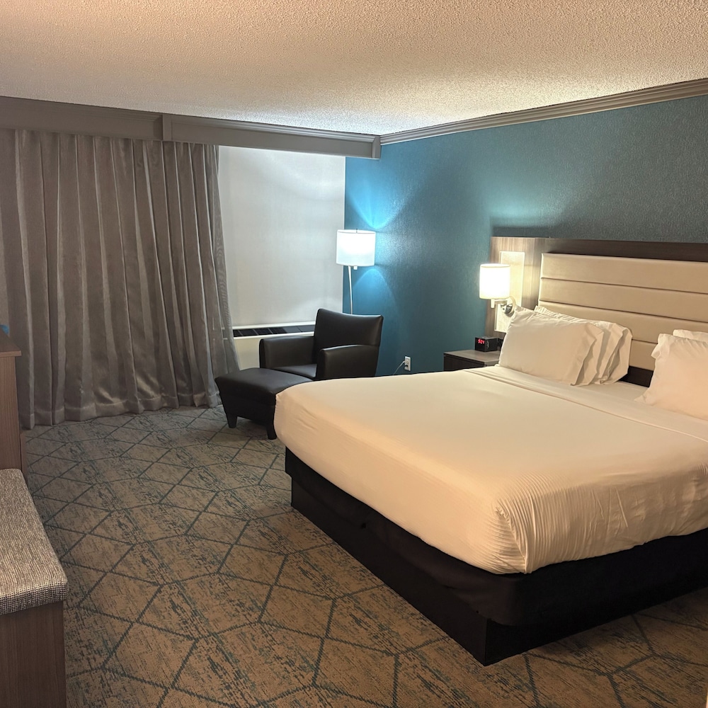 Bismarck Hotel and Conference Center - photo 10