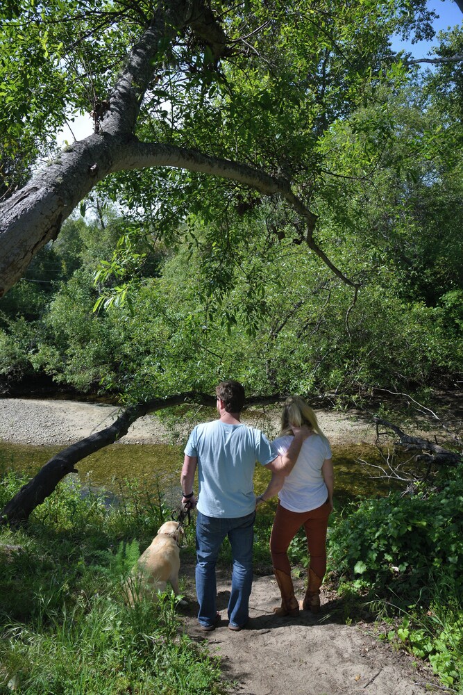 Carmel River Inn & Cottages - photo 71