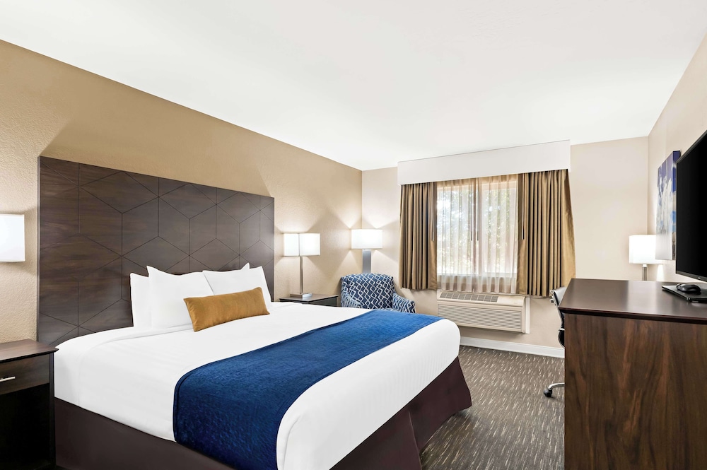 Best Western Snowflake Inn - photo 8