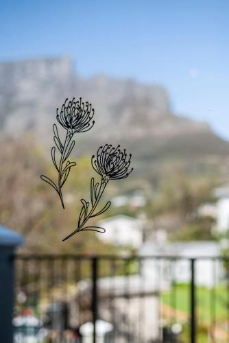 Leeuwendal Bliss with Mountain Views