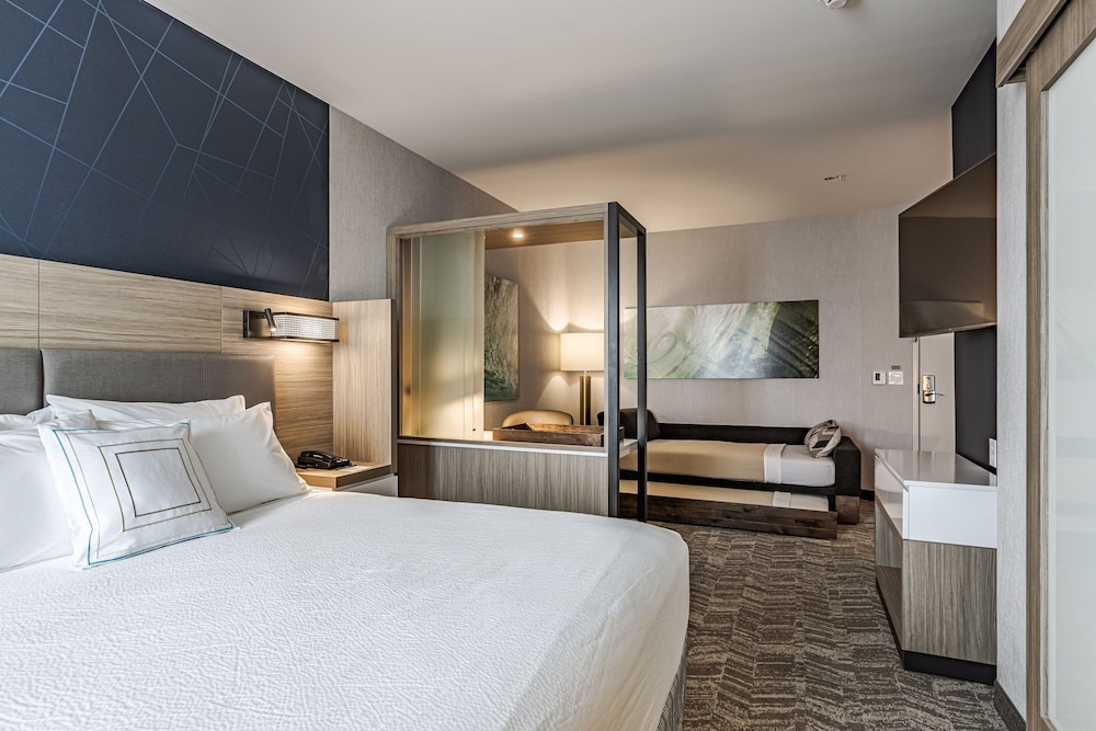 SpringHill Suites by Marriott Detroit Sterling Heights - photo 13