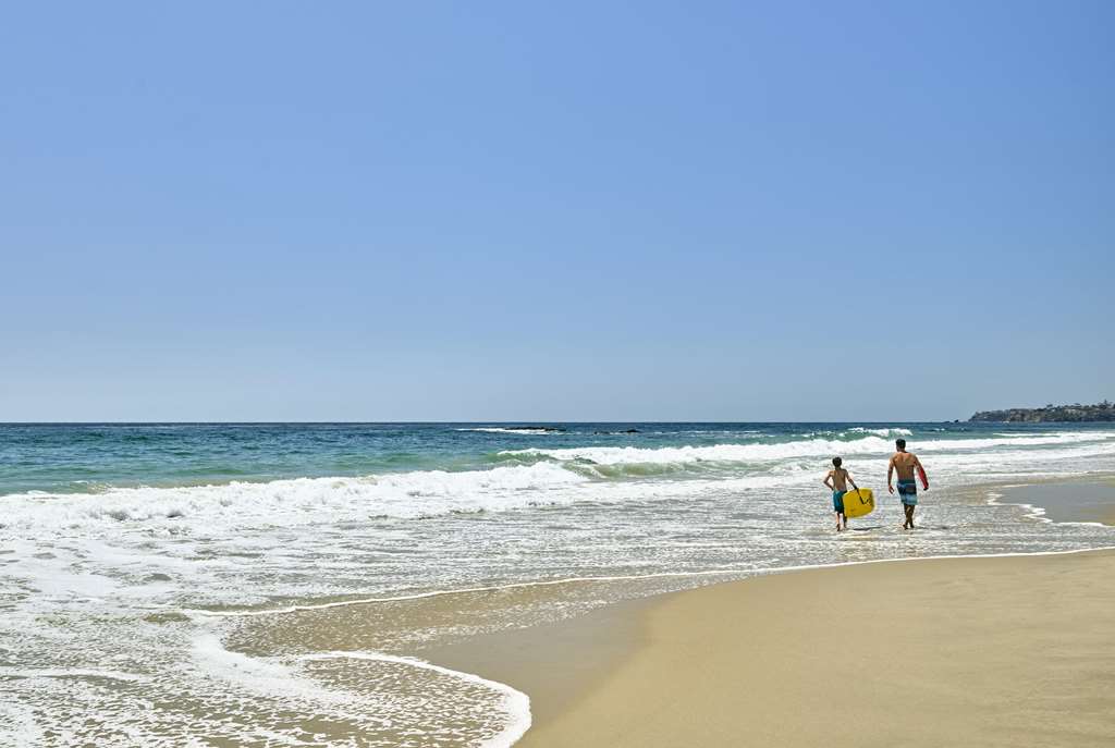 Surf & Sand Laguna Beach - photo 100