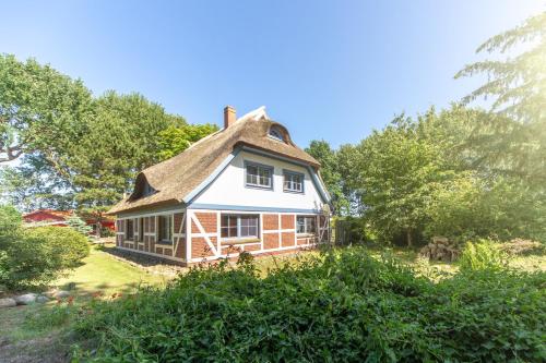 Ferienwohnungen im Reetdachhaus in Garz, Germany