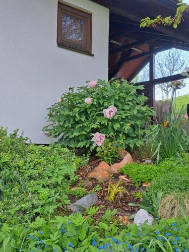 Hiška Janko in Metka in Ptuj, Slovenia