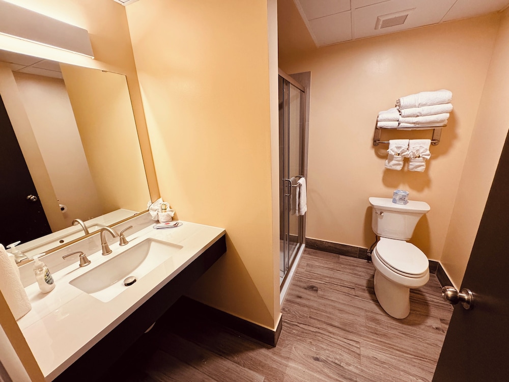 Hibbing Park Hotel & Suites - photo 9