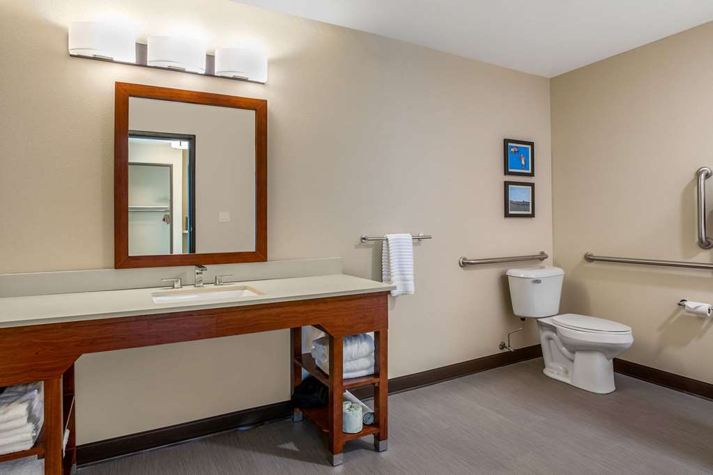 Comfort Inn and Suites Ames near ISU Campus - photo 16
