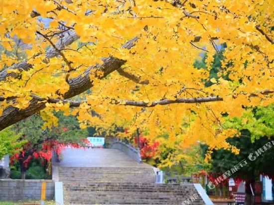 Panlongwan Inn - last minute hotel in Lianyungang