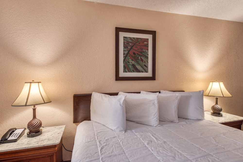Palms Garden Inn - photo 15