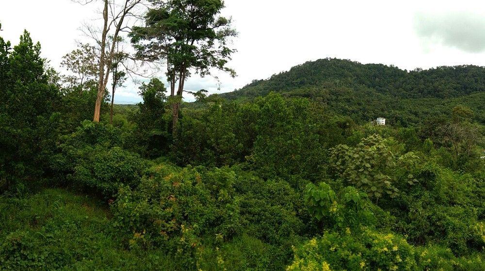 Ananda Place Phuket — Phuket — photo 3