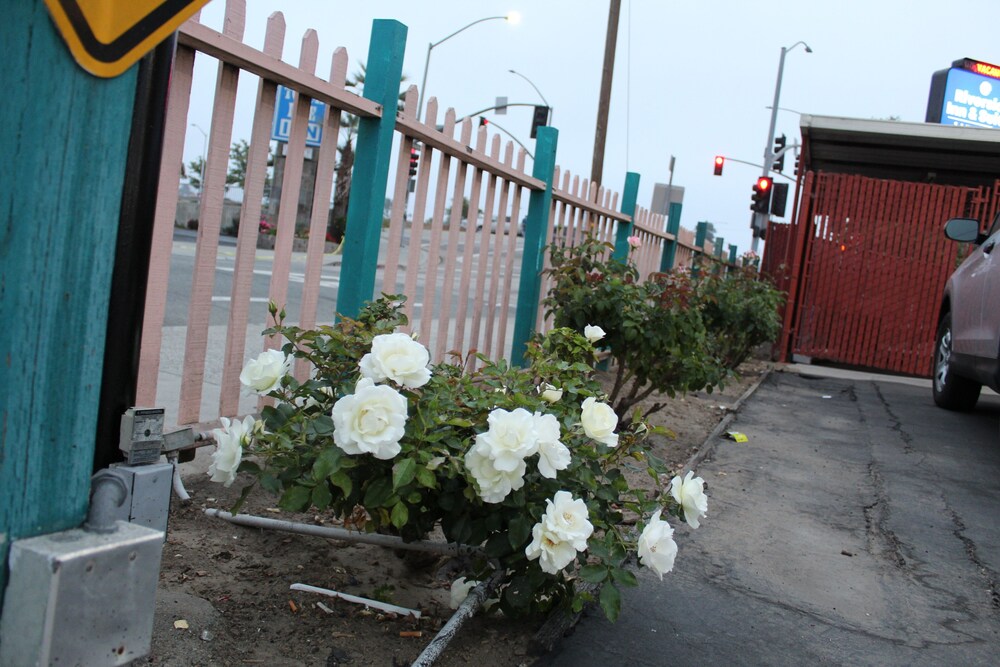 Riverside Inn & Suites Santa Cruz - photo 63