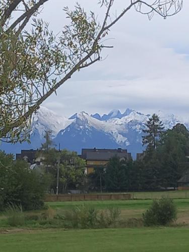 Dom Pod Wierzbami Balia Ogrodowa Znizki Na Termy in Bialka Tatrzanska, Poland