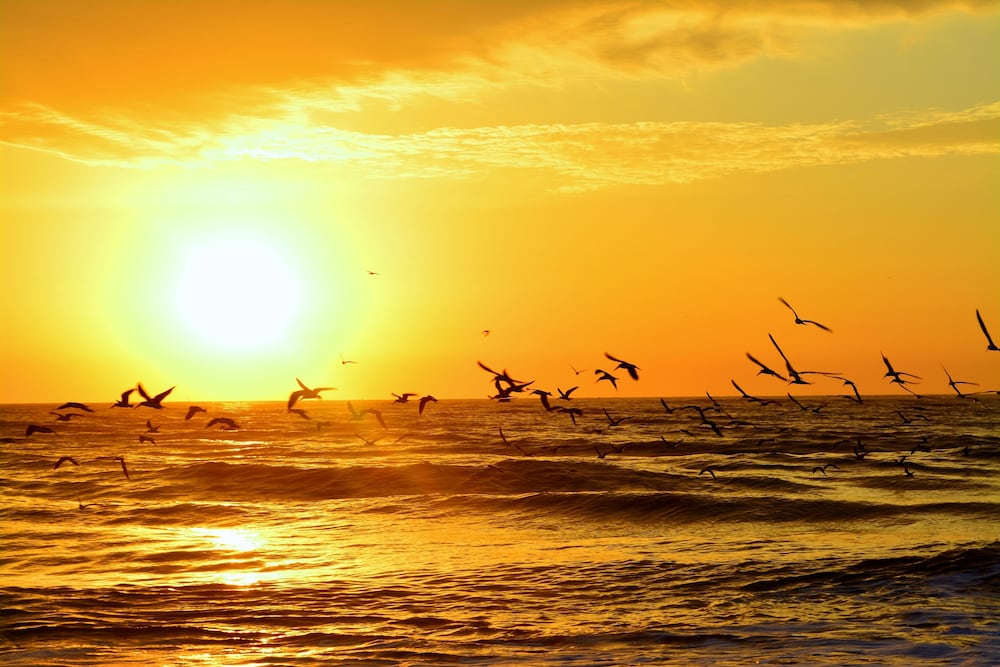 The Saint Augustine Beach House - photo 30