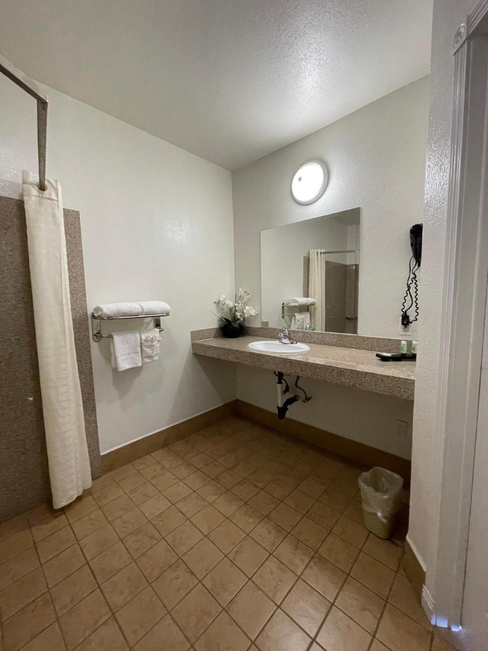 Palm Tropics Motel - photo 3