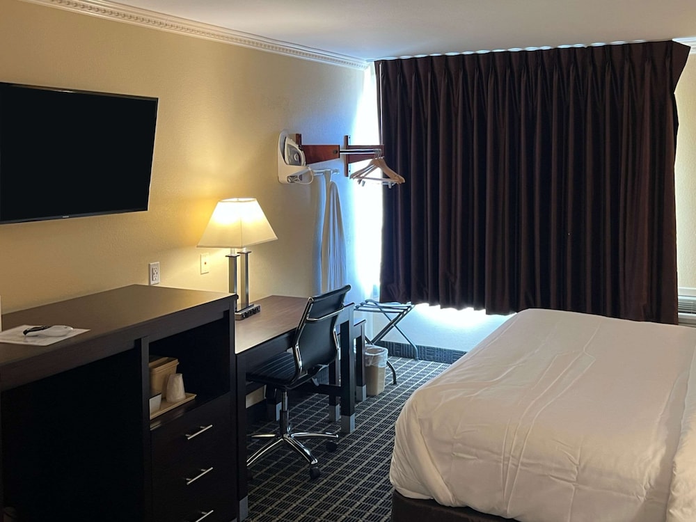 MainStay Suites Ozona I 10 - photo 7