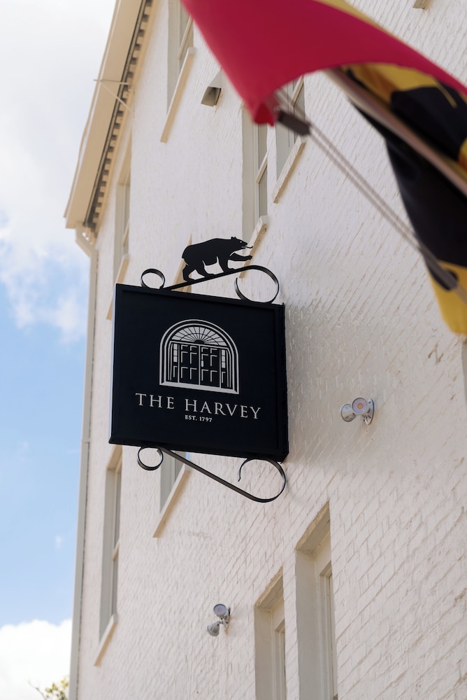 The Harvey - photo 132
