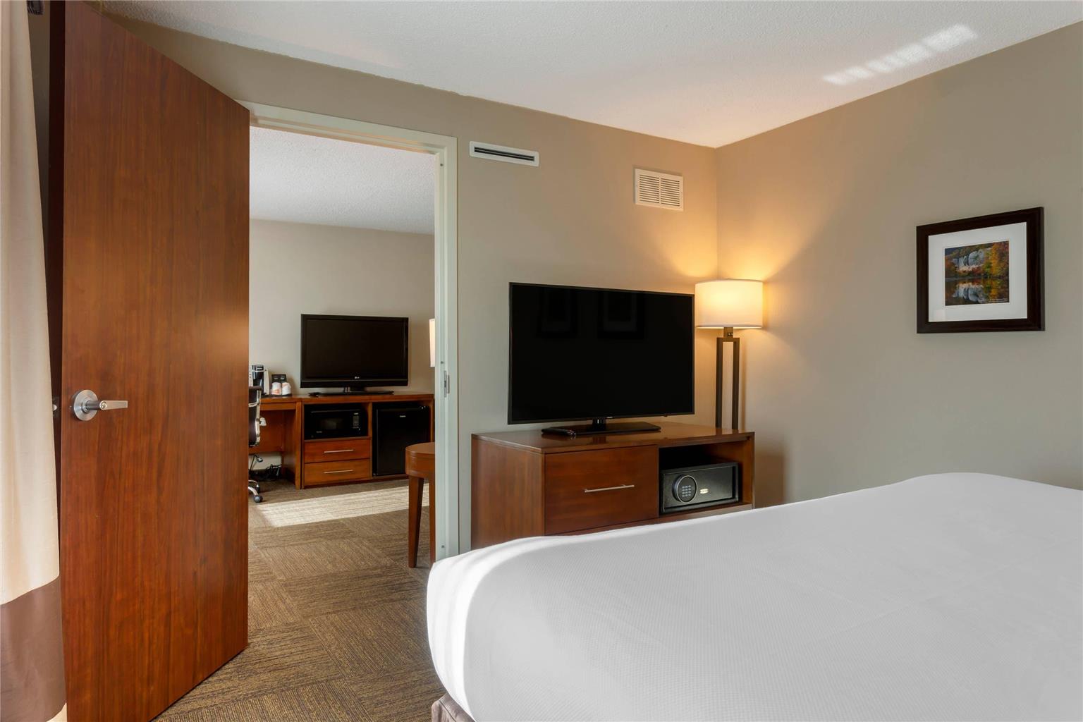 Comfort Inn & Suites Presidential Downtown Little Rock - photo 13