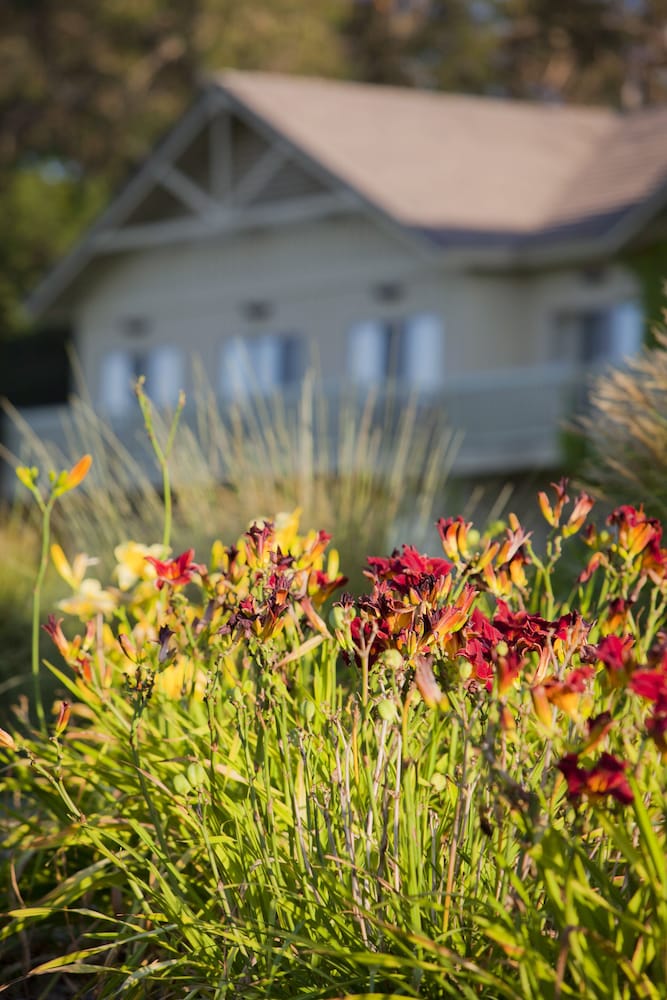 Temecula Creek Inn - photo 49