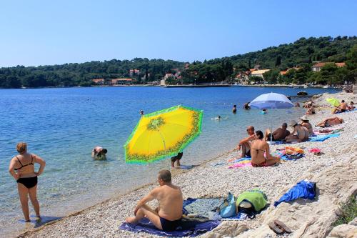 Apartments by the sea Zaton Veliki Dubrovnik 2107