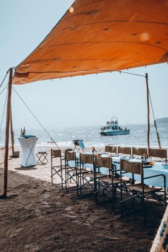 Mola Mola Safaris in Walvis Bay, Namibia