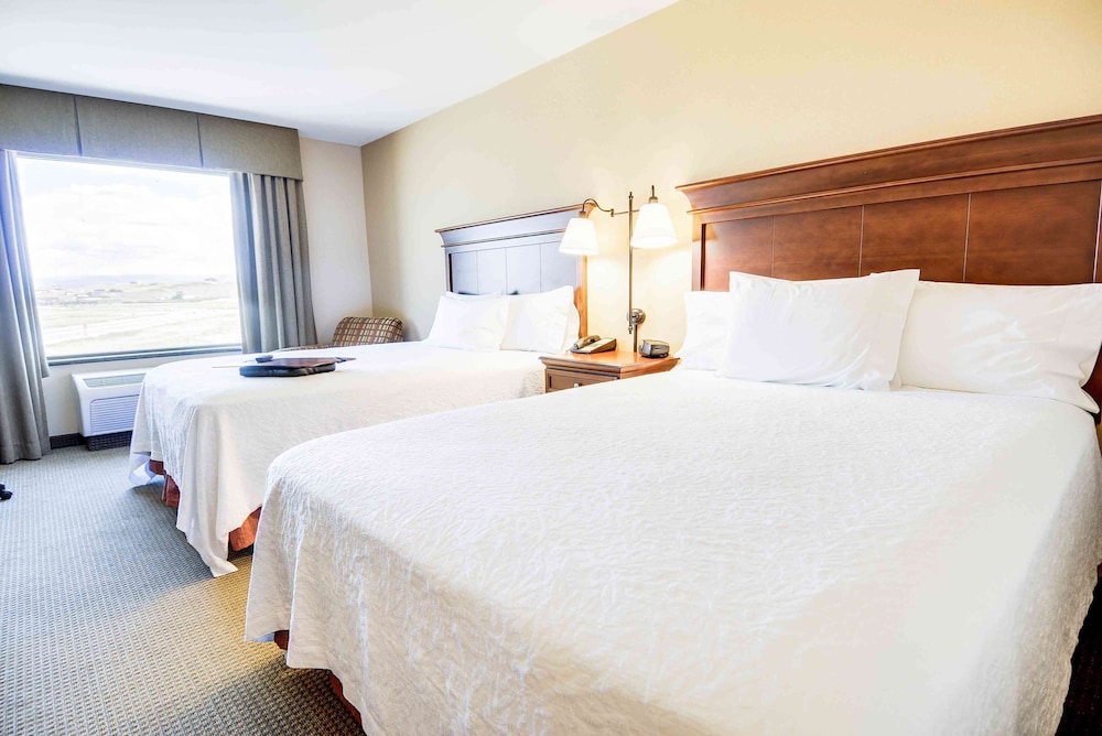Hampton Inn & Suites Pinedale - photo 10