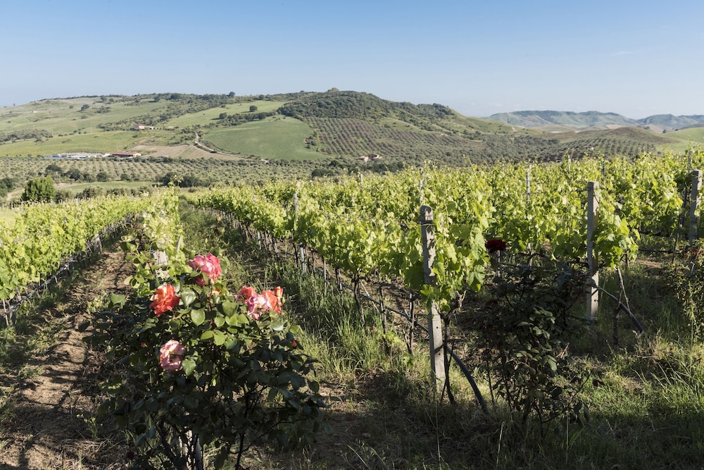 Agriturismo Dattilo — 4-Star Luxury Hotel in Strongoli, Italy
