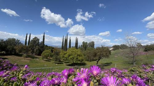 Riverside Views & Pool Retreat — Riverside — photo 3