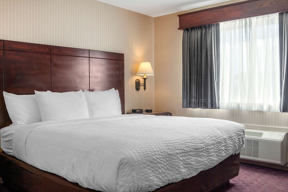 Wintergreen Hotel & Conference Center - photo 6