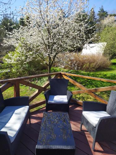 Forest Cottage Brdy — 4-Star Luxury Hotel in Rozmital Pod Tremsinem, Czech Republic