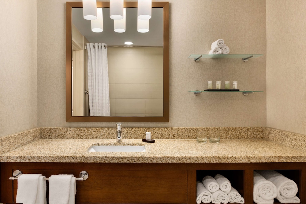 Embassy Suites by Hilton Denver Downtown Convention Center - photo 18