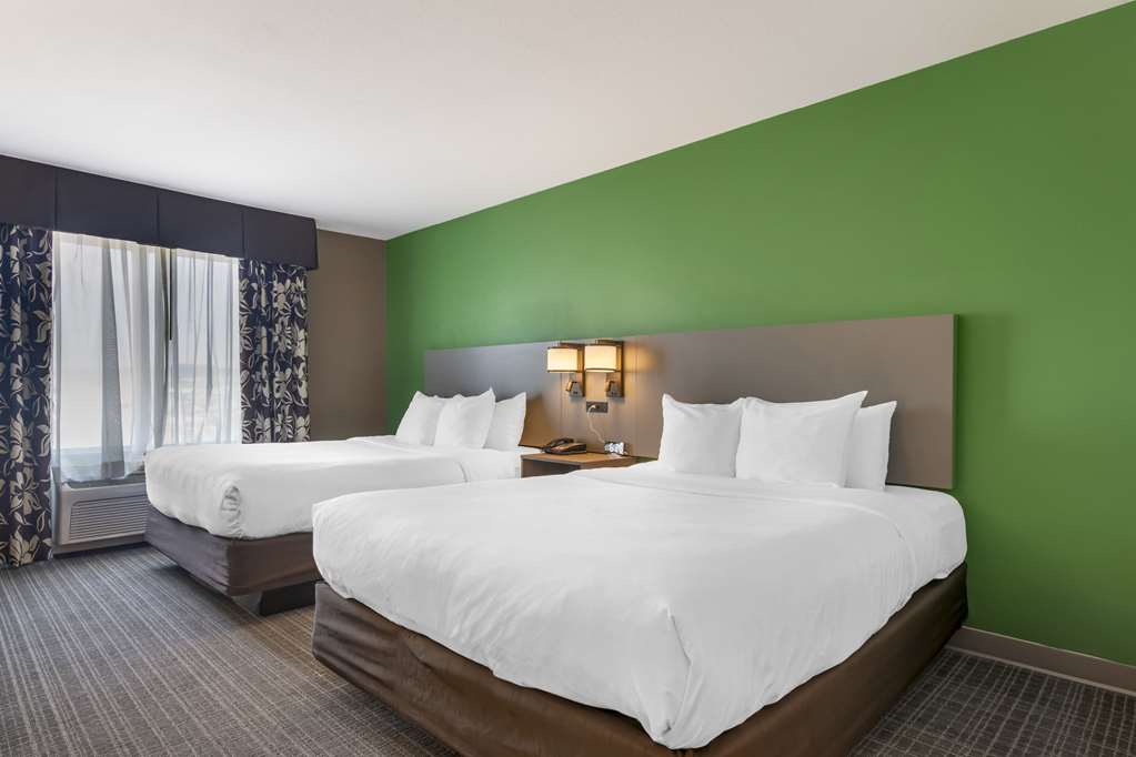 Comfort Suites Conference Center Rapid City - photo 25