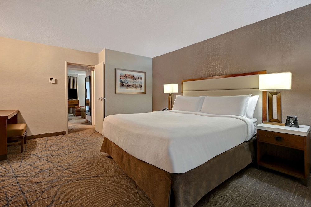 Embassy Suites by Hilton Colorado Springs - photo 19