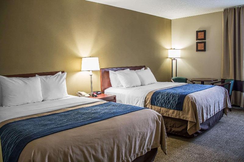 Comfort Inn - photo 13