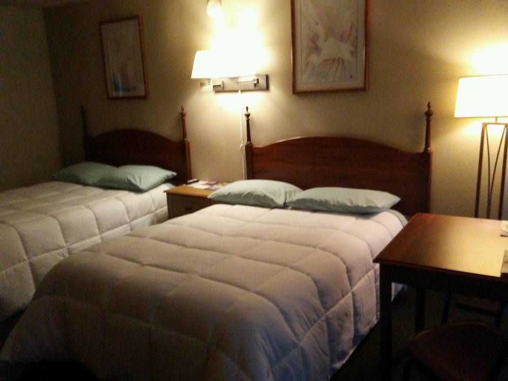Dave's Hideaway - photo 4