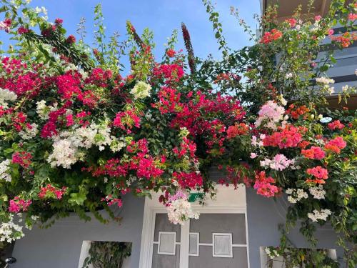 Hiri Inn in Manadhoo, Maldives