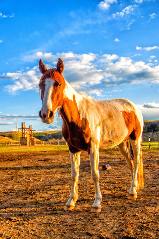 Ranches at Belt Creek - photo 34