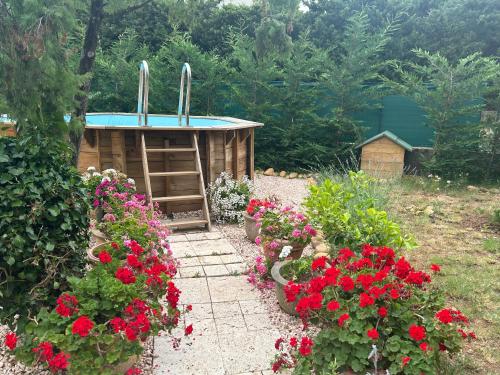 Chez Laurette — hotel in Villeneuve-Les-Avignon