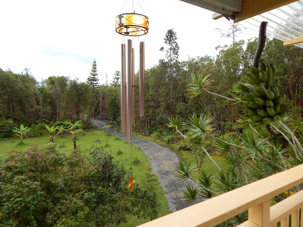 Fern Forest Getaway - photo 42