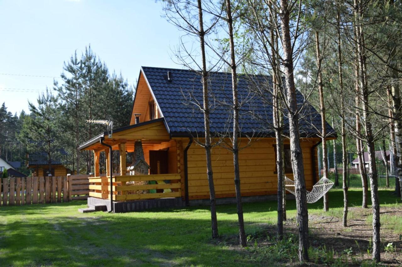 Zacisze Leśne Domek do wynajęcia — hotel in Tereszpol