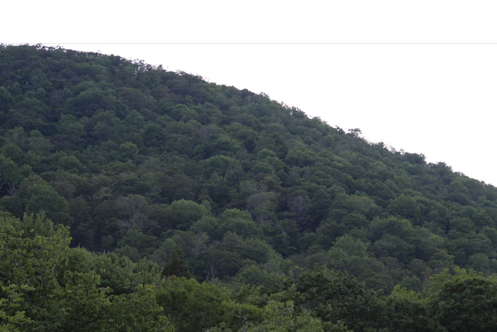 Catskill Seasons Inn - photo 108